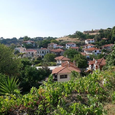 Villa Casa di Grigoris Nikiti  Esterno foto