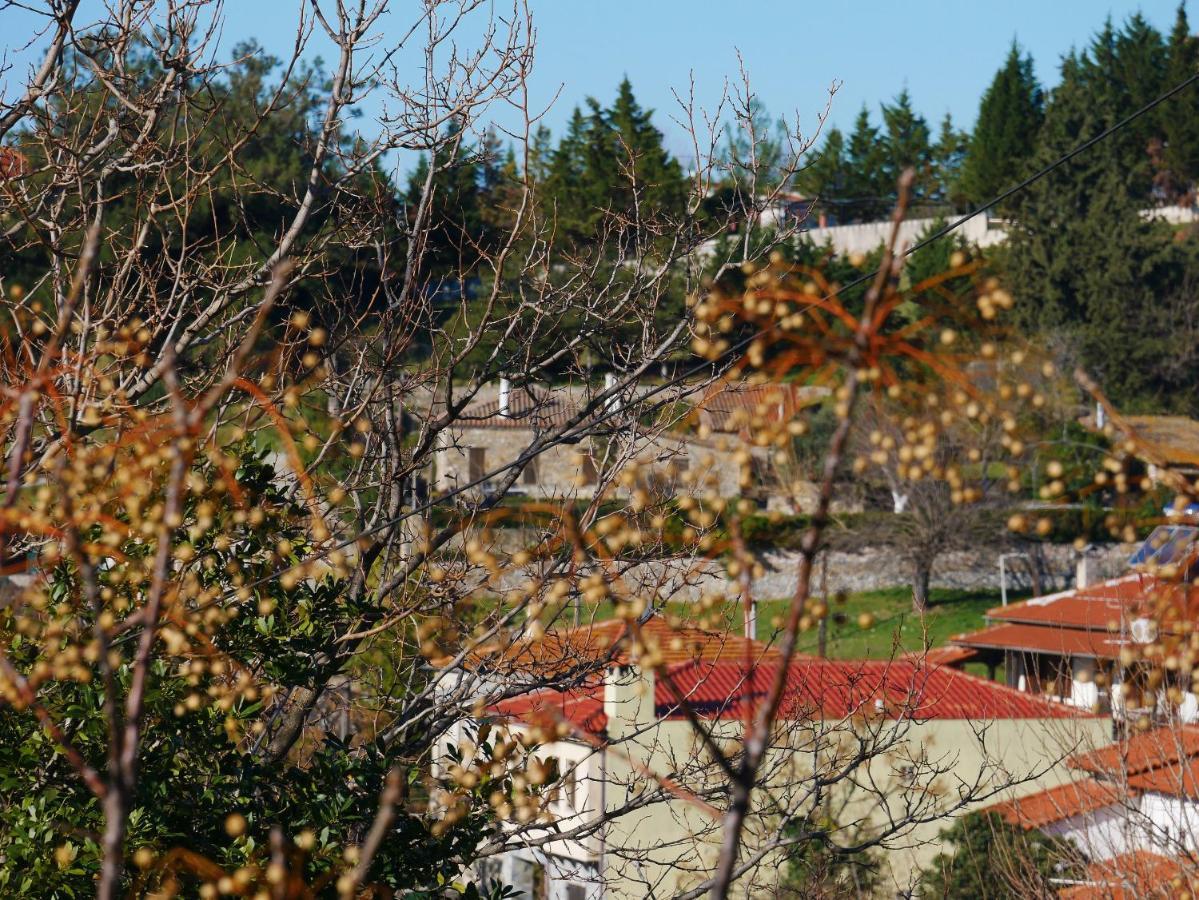 Villa Casa di Grigoris Nikiti  Esterno foto